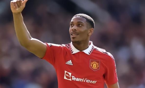 门球员的体 门球员的体